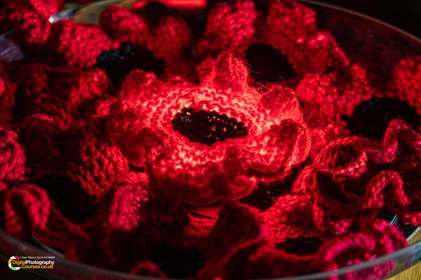 Remembrance Day 2024